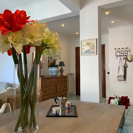 Moon Διαμέρισμα *